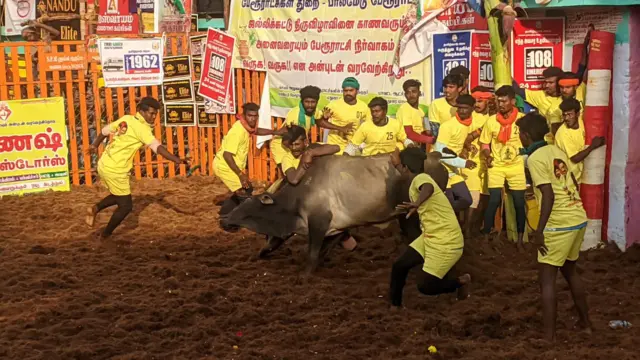 பாலமேடு ஜல்லிக்கட்டு தொடங்கியது: திமிலை பிடித்த வீரரை சுழற்றி வீசிய காளை