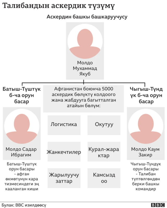 Талибандын аскердик түзүлүшү