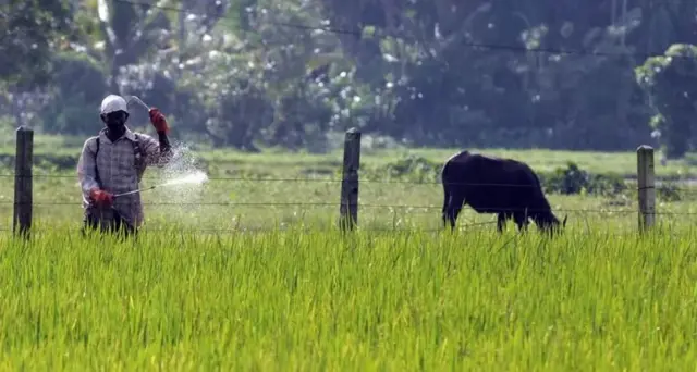 பூச்சிக்கொல்லி மருந்துகள்