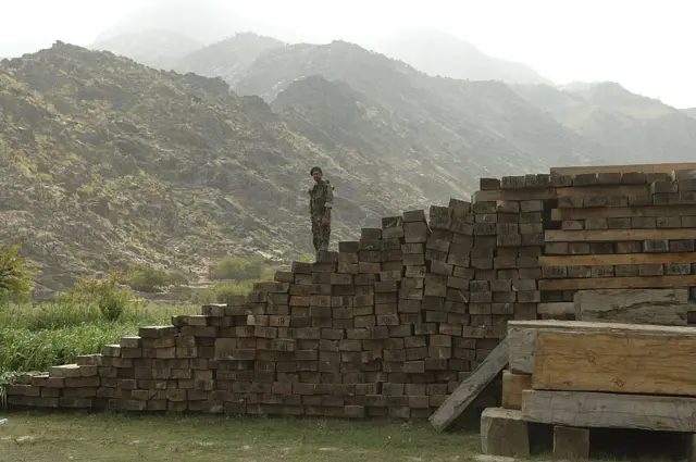 وهل شوي ځنګلونه