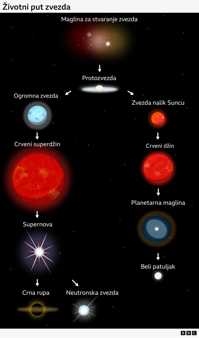 kako nastaju zvezde, životni put zvezda, grafika prikazuje kako nastaju zvezde, Dijagram ilustruje životni ciklus zvezda: maglina u kojoj se formiraju zvezde proizvodi protozvezdu, koja može da krene jednim od dva puta; ako postane masivna zvezda, pretvoriće se u crvenog superdžina, zatim u supernovu koja vodi do crne rupe ili neutronske zvezde; ako postane zvezda slična Suncu, pretvoriće se u crvenog džina, zatim u planetarnu maglinu koja vodi do belog patuljka