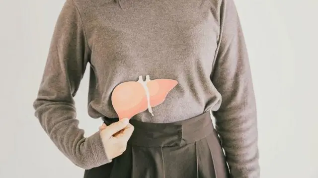 ਲਿਵਰ ਦੀ ਸੰਕੇਤਕ ਤਸਵੀਰ