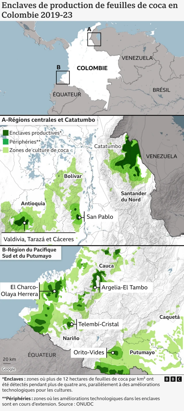 Un graphique de la BBC montrant des cartes des enclaves de production de feuilles de coca en Colombie de 2019 à 2023.