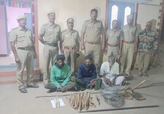 குட்டி யானை பலி