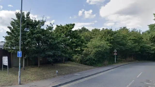 Road with trees and shrubs along its end and signs on the left bank.