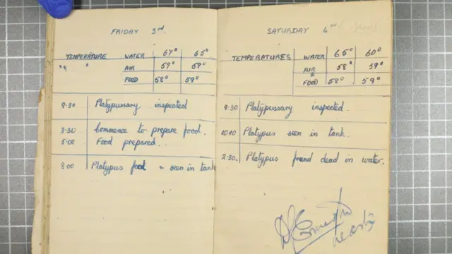 ప్లాటిపస్, విన్‌స్టన్ చర్చిల్, ఆస్ట్రేలియా, యూకే, అమెరికా
