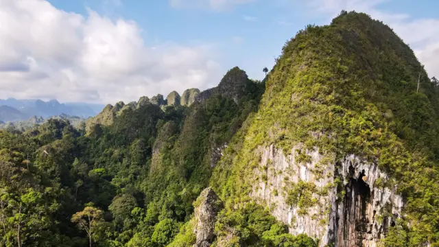Pada 2018, lukisan tangan dan gambar menyerupai hewan berusia 40.000 tahun ditemukan di kawasan Karst Sangkulirang-Mangkalihat di Kalimantan Timur.