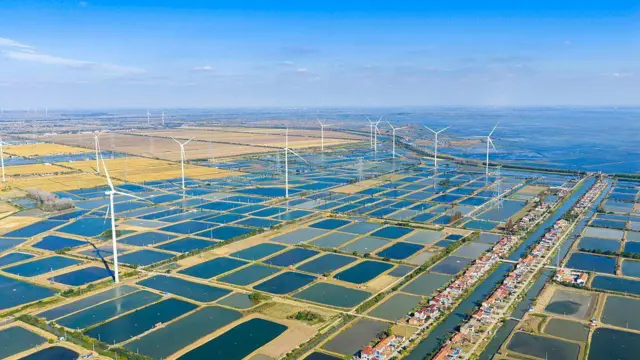 रिन्यूएबल बिजली