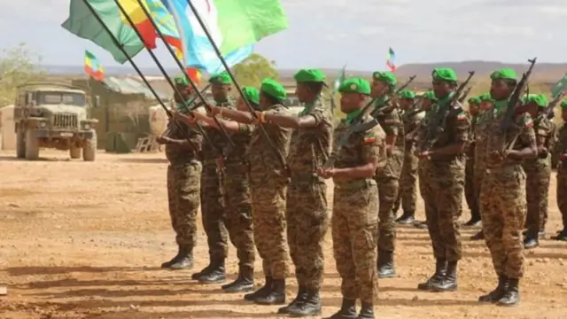 ዓቃብ ሰላም ሰራዊት