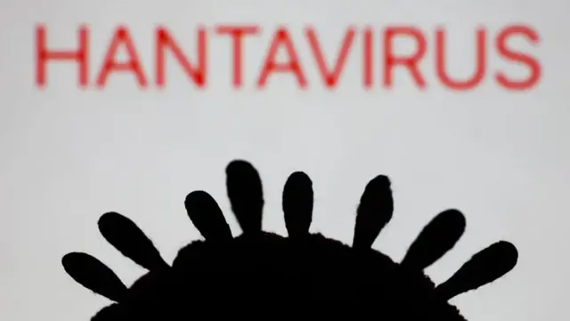Tanda hantavirus ditampilkan di layar laptop dan model virus terlihat dalam foto ilustrasi yang diambil di Krakow, Polandia pada 7 Mei 2026.