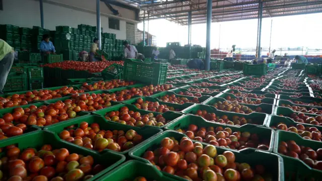 మార్కెట్లో టమాటా