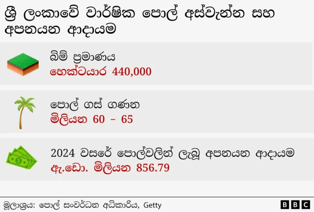 ශ්රී ලංකාව තුළ පොල් ගස් මිලියන 60ත් 65ත් අතර පවතින බව පොල් සංවර්ධන මණ්ඩලය පවසයි.