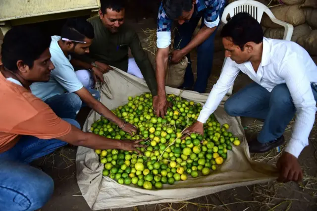 બજારમાં લીંબુના ભાવ