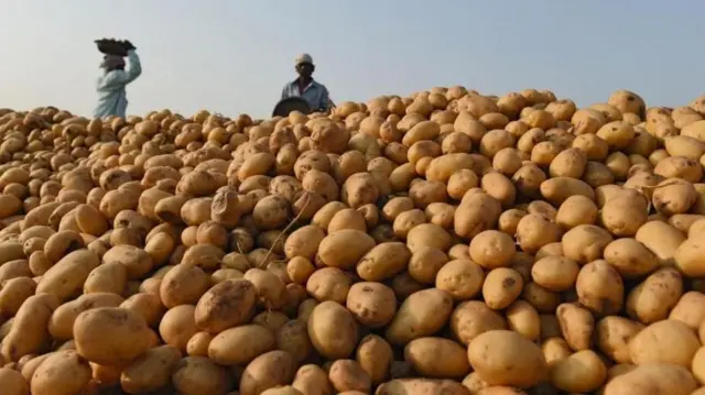 బంగాళ దుంపలు