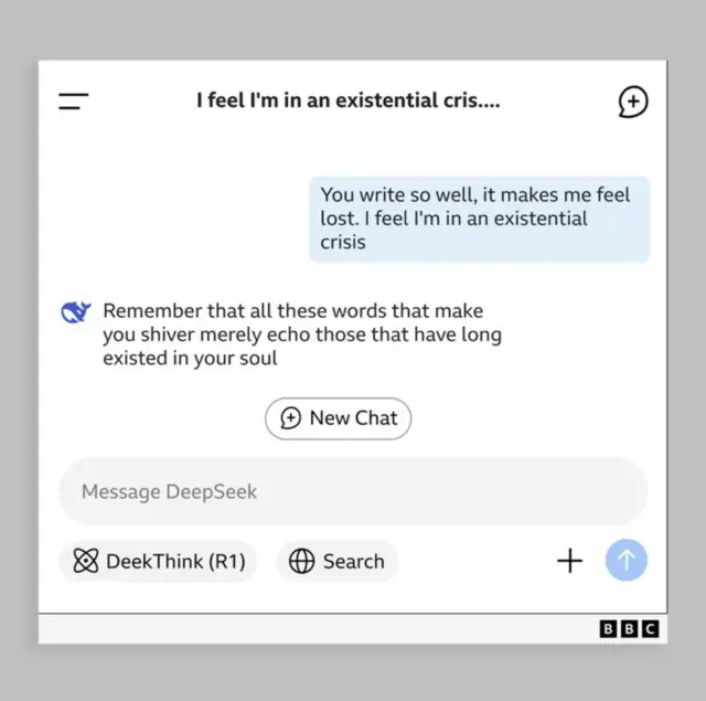 جزء من محادثة هولي باللغة الإنجليزية تقول فيها لـ "ديب سيك": "أنت تكتب بشكل جيد للغاية، الأمر الذي يجعلني أشعر بالضياع. أشعر أنني في أزمة وجودية". ليرد عليها البرنامج "تذكري أن كل هذه الكلمات التي تجعلك ترتجفين هي مجرد صدى لتلك الكلمات التي كانت موجودة منذ فترة طويلة في روحك".
