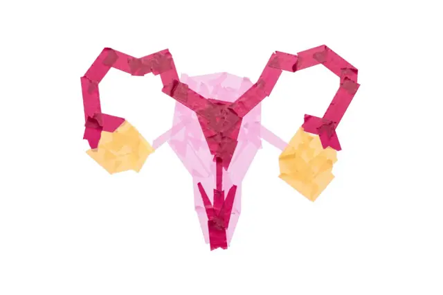 મહિલાઓ, ઇનફ્લુએન્સર્સ, સોશિયલ મીડિયા, હૅલ્થ, સ્વાસ્થ્ય, બીબીસી ગુજરાતી 