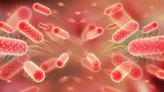 மழைக்கால நோய்கள்