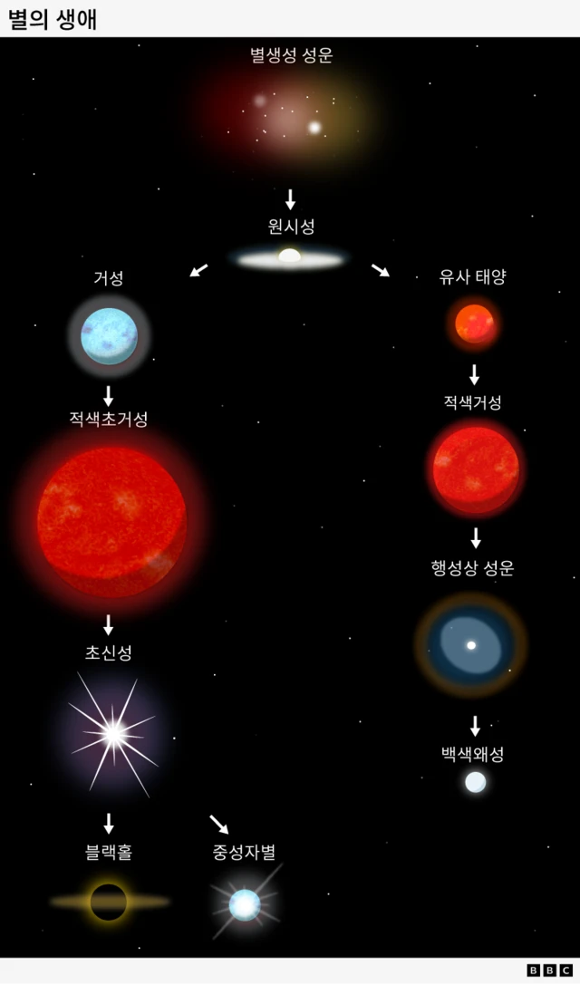 별의 일생을 나타난 그래프: 별생성 성운이 원시별이 되며, 이 원시별은 이후 크게 2가지 경로로 나뉜다. 만약 거성이 되면 적색초거성, 초신성 단계를 거쳐 이후 블랙홀이 되거나 중성자별이 된다. 만약 유사 태양이 되면 적색거성, 행성상 성운을 거쳐 백색왜성이 된다