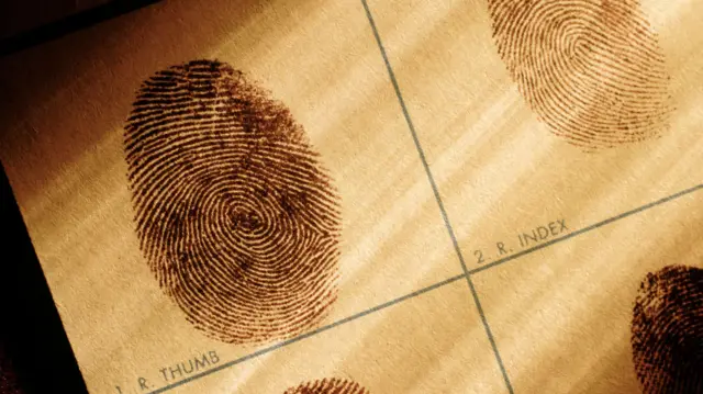 बोटांचे ठसे 