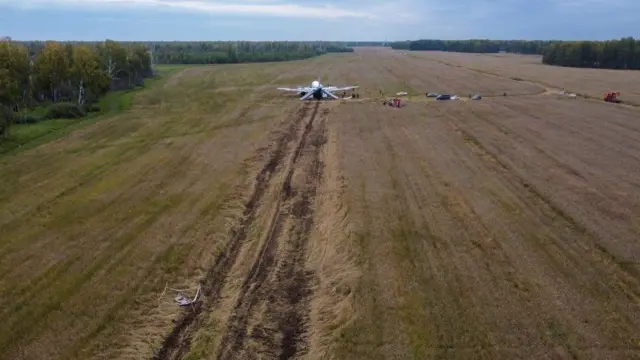 Xiyyaaricha maasii keessatti