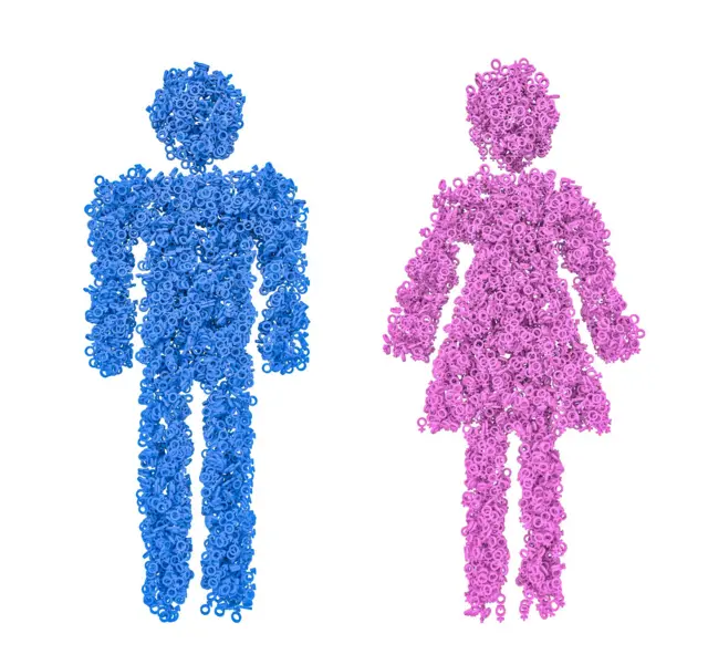 જેન્ડર, સેક્સ, મહિલા, પુરુષ, બીબીસી ગુજરાતી