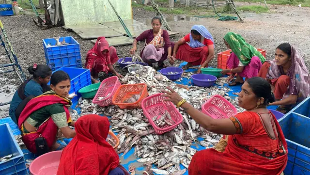 જાફરાબાદમાં માછીમારોની સમસ્યા, માવઠાને કારણે મુશ્કેલી અને નુકસાન, કમોસમી વરસાદ, બીબીસી ગુજરાતી હવામાન, ખારવા સમાજ, બીબીસી ગુજરાતી 