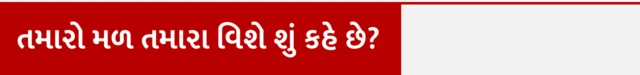 તમારો મળ તમારા વિશે શું કહે છે? મળત્યાગ ક્યારે કરવો જોઈએ, મળના પ્રકાર, મળત્યાગ અને બીમારીઓ વચ્ચે સંબંધ, મળત્યાગ અને આંતરડાનો સંબંધ, મળત્યાગની આદતો, શું કરવાથી કબજિયાત ન થાય, કબજિયાત, બીબીસી ગુજરાતી સાથે સમજો, બીબીસી ન્યૂઝ ગુજરાતી, બીબીસી ન્યૂઝ