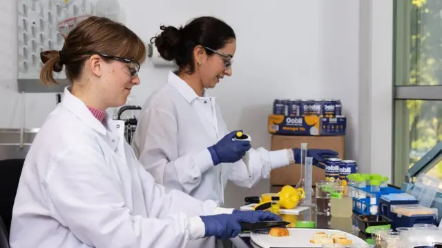 Dois cientistas trabalhando no laboratório da Oobli