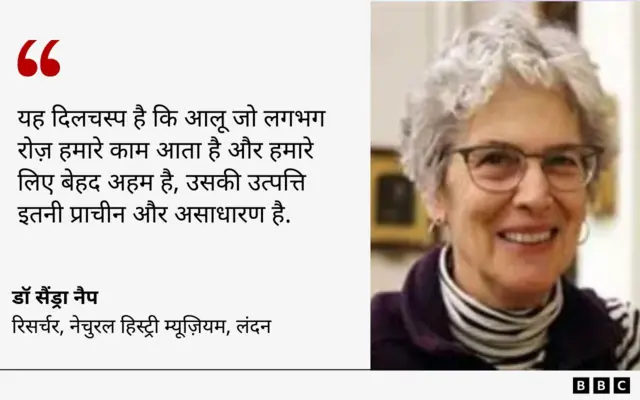 सैंड्रा नैप