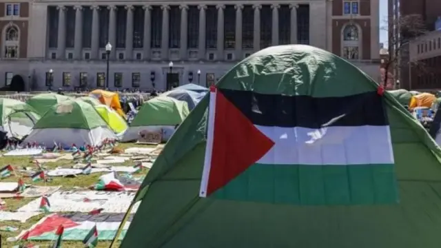 বিক্ষোভকারীদের অনেকেই কলম্বিয়া বিশ্ববিদ্যায় ক্যাম্পাসে তাঁবু খাটিয়ে অবস্থান করছে