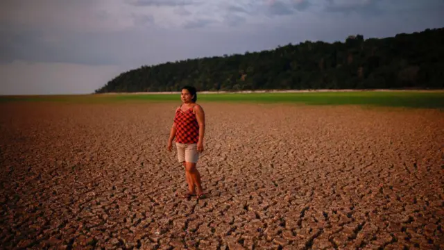  అమెజాన్ అడవులు, పర్యావరణం, కార్బన్ డై ఆక్సైడ్, వాతావరణం