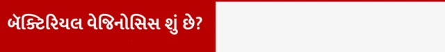 મહિલાઓમાં થતો વજાઇનલ વાઇરસ બૅક્ટિરિયલ બૅક્ટેરિયલ વેજિનોસિસ શું છે, જાતીયસંબંધ કે જાતીય સંસર્ગથી થાય, પુરુષ પાર્ટનરની સારવારની જરૂર, યોનિમાંથી પ્રવાહી પડવું અને દુર્ગંધ આવવી, બીબીસી ગુજરાતી, બીબીસી ન્યૂઝ