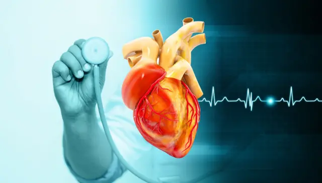 এনজিওগ্রাম