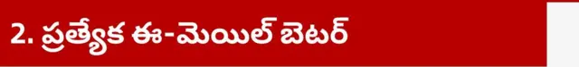 మ్యాట్రిమోనియల్ వెబ్సైట్, ఆన్లైన్, డేటింగ్, చీటింగ్