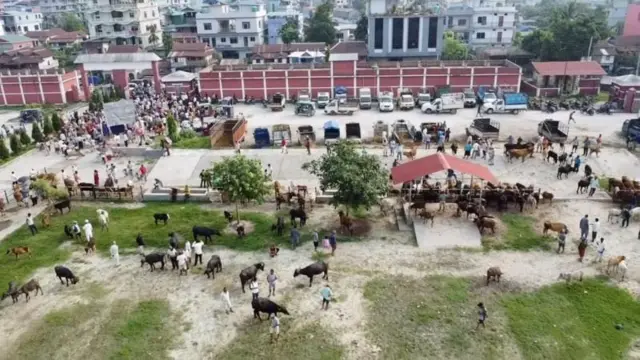 झापास्थित दमक हाट बजार