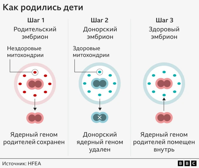 Графика: как родились дети