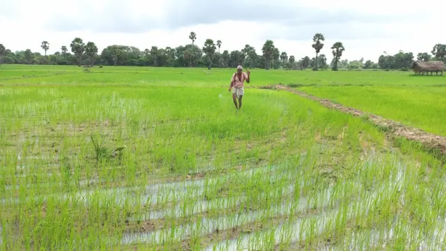 හුණුගල් කැණීම් නිසා තම ගොවිබිම් අහිමි වී යනු ඇතැයි ප්‍රදේශයේ ගොවීහූ බිය පළ කරති.