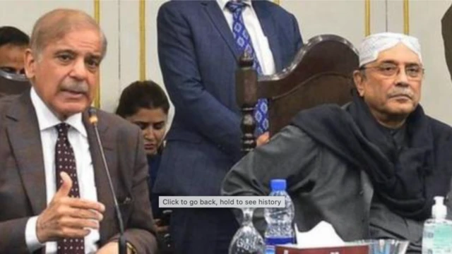 شهباز شريف او زرداري