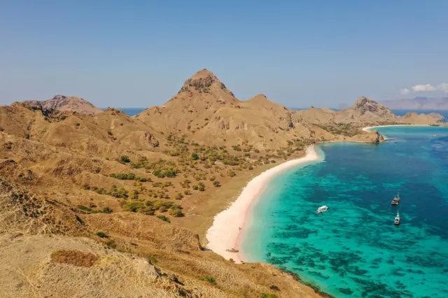 Pemandangan pantai berpasir merah muda dengan air jernih dan terumbu karang di Taman Nasional Komodo, Nusa Tenggara Timur, Indonesia.