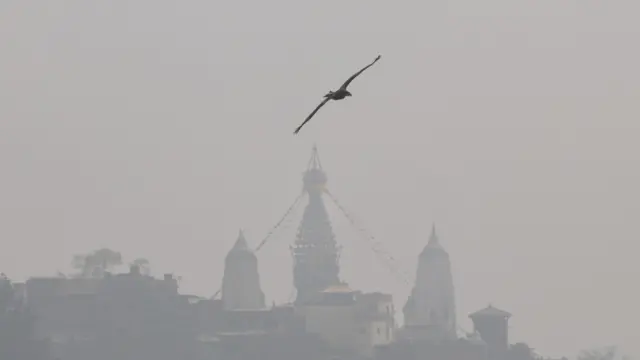 धुम्म मौसमबीच उडिरहेको चरा र पृष्ठभूमिमा स्वयम्भू