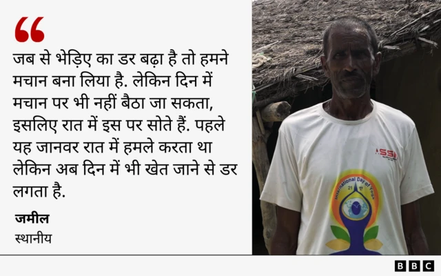 भेड़ियों का ख़ौफ़