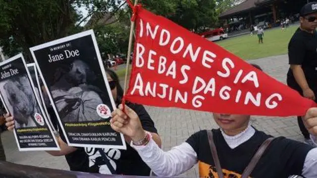 Sejumlah aktivis pecinta anjing di Solo, Jawa Tengah, yang tergabung dalam koalisi Dog Meat Free Indonesia (DMFI) melakukan kampanye menolak perdagangan daging anjing.