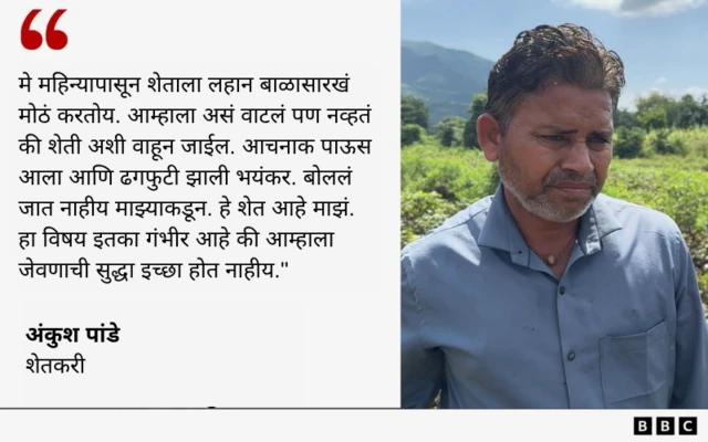 ग्राफिक्स