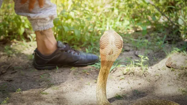 வலிப்பு, பாம்புக்கடி, புற்றுநோய், திரைப்படங்கள், உடல்நலன், மூடநம்பிக்கை, சமூகம்