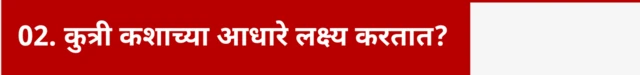 कुत्री कशाच्या आधारे लक्ष्य करतात?