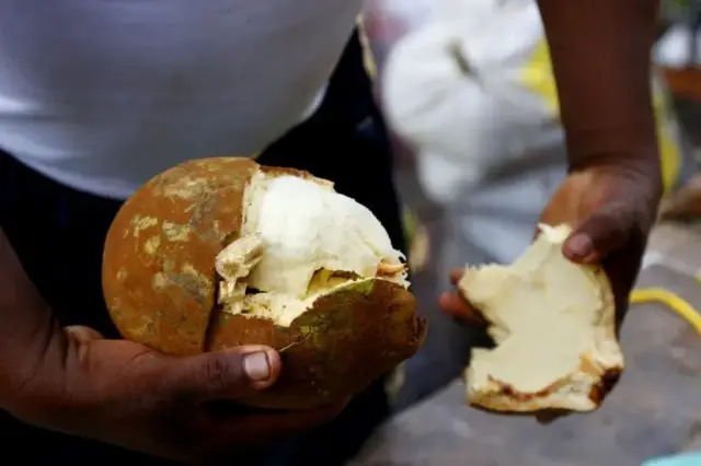 Mão segurando uma fruta com casca marrom e polpa branca
