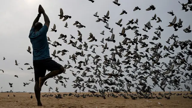 야외에서 요가 중인 사람의 모습
