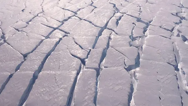 एन्टार्क्टिका