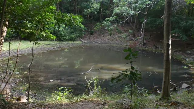 කළුදියපොකුණ