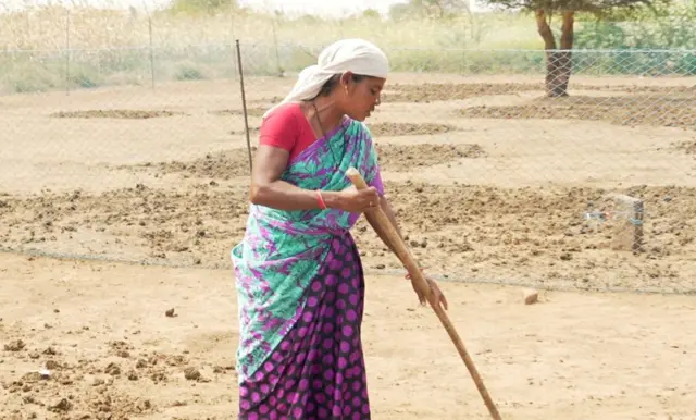 சாணத்தை சேகரிக்கும் அழகம்மாள் 